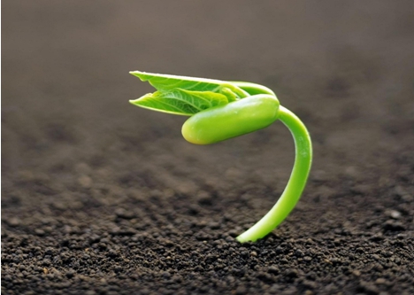 制造業(yè)春天 制造業(yè)春天